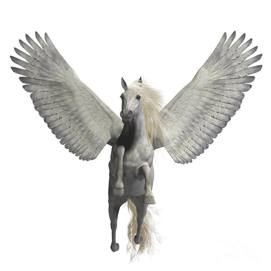 Pegasus Painting - White Pegasus on White by Corey Ford