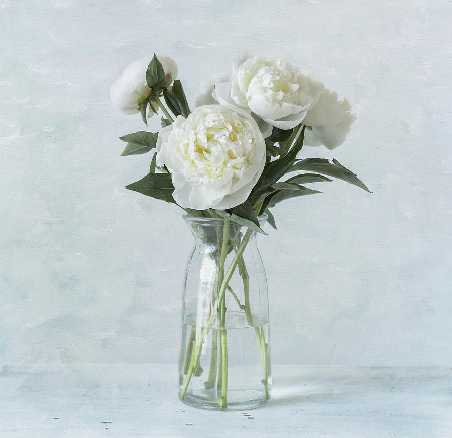 White Peony Bouquet Photograph by Kim Hojnacki