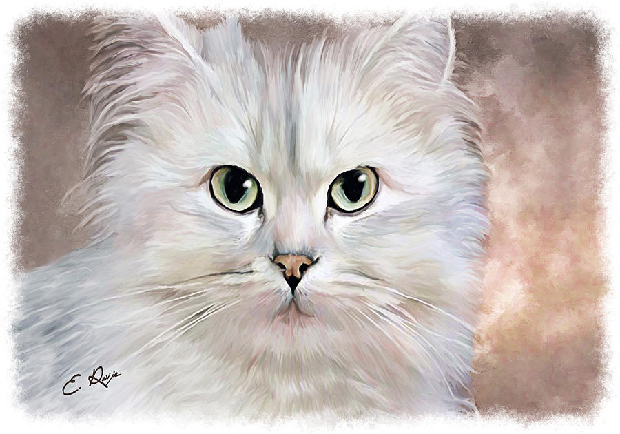 white persian cat