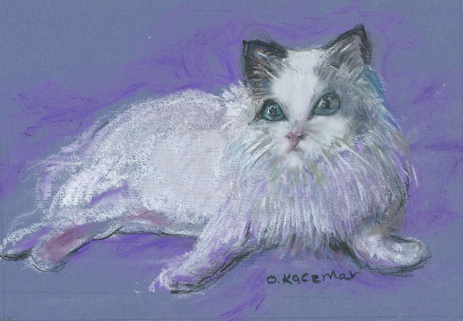 White Persian Cat Pastel - White Persian by Olga Kaczmar