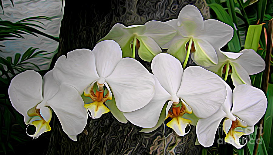 White Phalaenopsis Orchids with Expressionist Effect Photograph by Rose Santuci-Sofranko