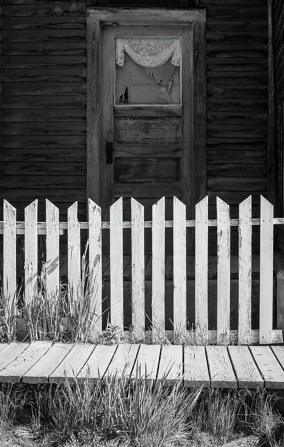 White Picket Fence Photograph by Bill Wiebesiek