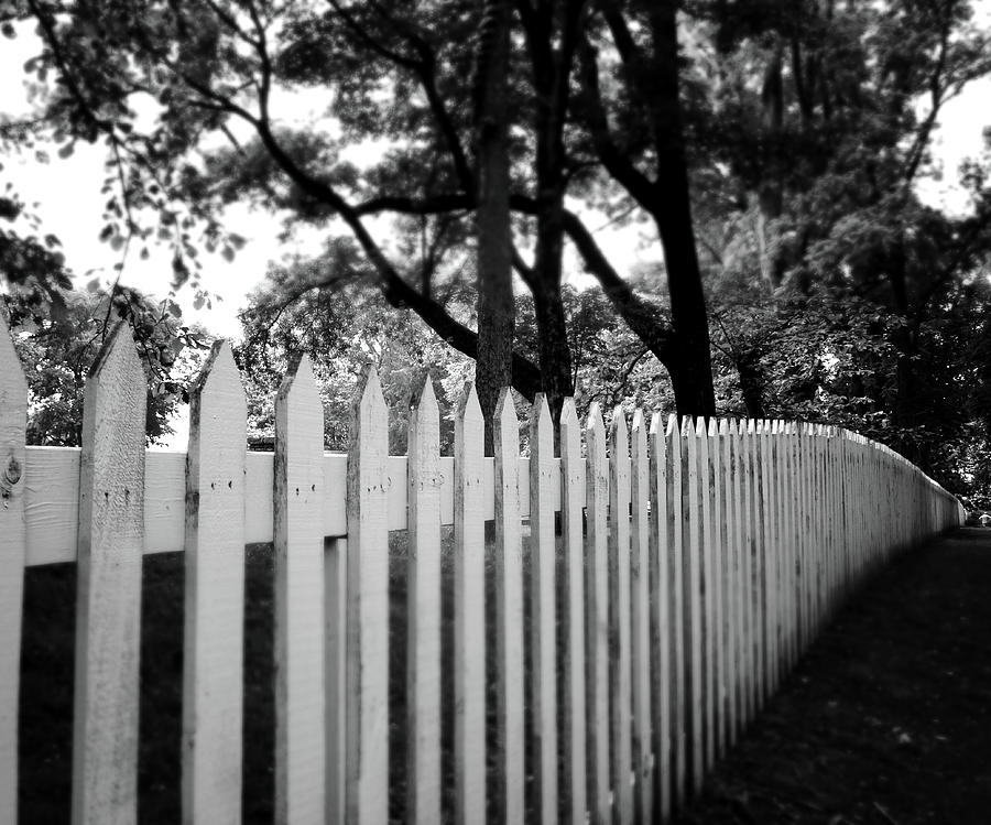 White Picket Fence- by Linda Woods Photograph by Linda Woods