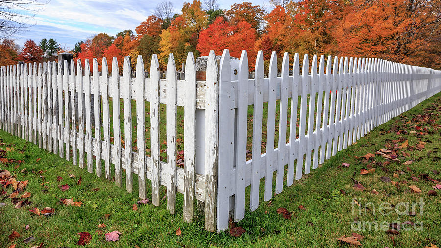 White Picket Fence Etna New Hampshire Fall Foliage Photograph by Edward Fielding