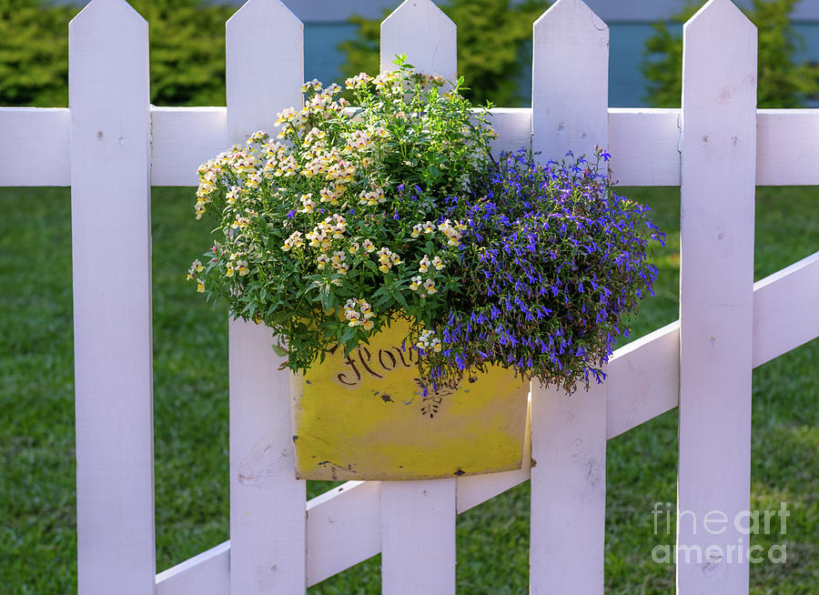 White Picket Fence Flower Basket Photograph