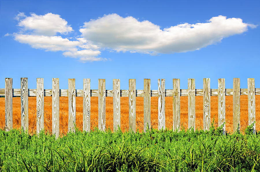 White Picket Fence Photograph by Steven Michael
