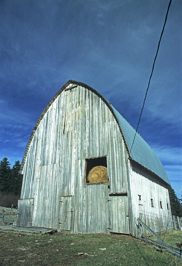 White Pine Barn Photograph by Doug Davidson