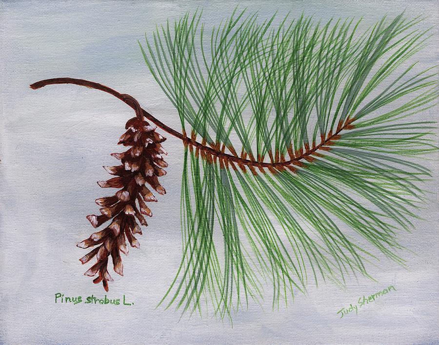 White Pine Cone and Tassel by Judy Sherman