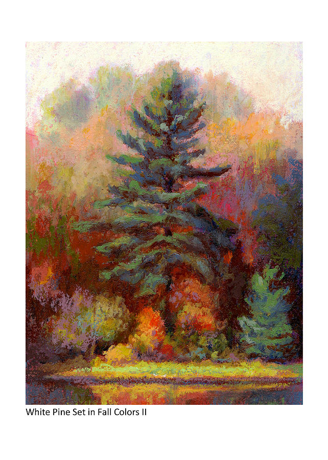 White Pine Set in Fall Colors II Pastel by Betsy Derrick
