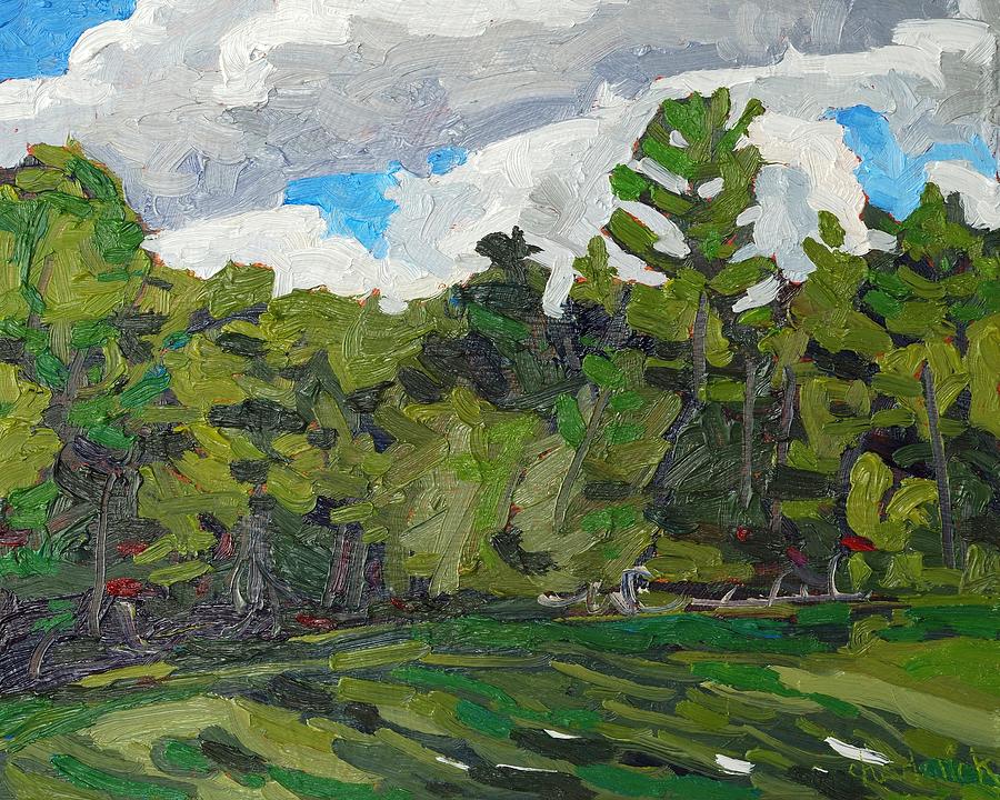Impressionism Painting - White Pine Sky by Phil Chadwick