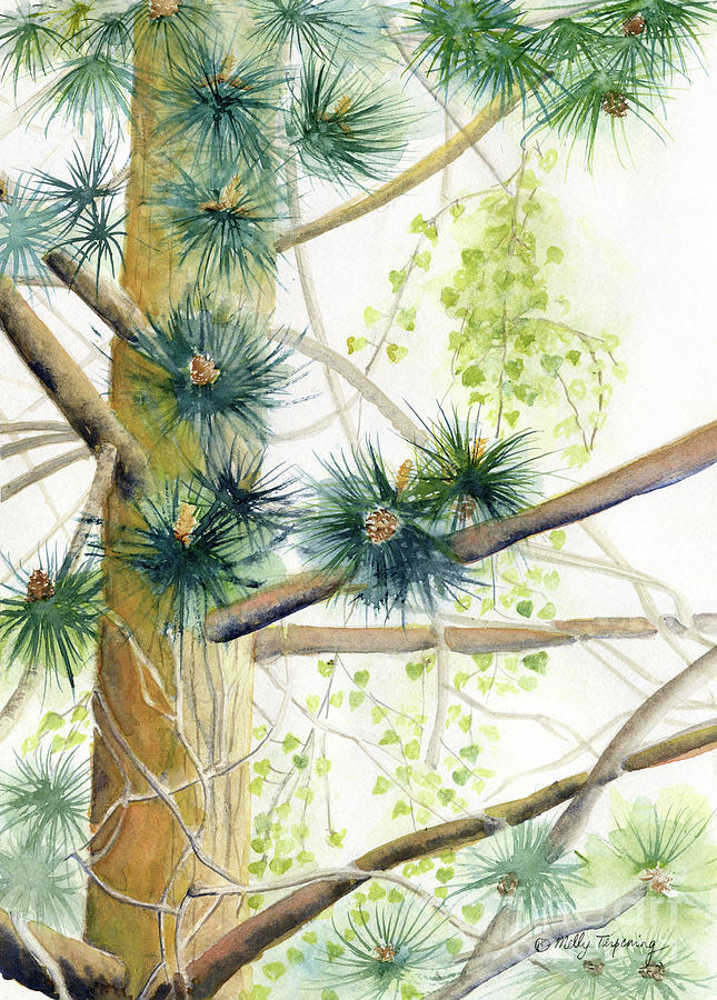 White Pine Tree Painting by Melly Terpening