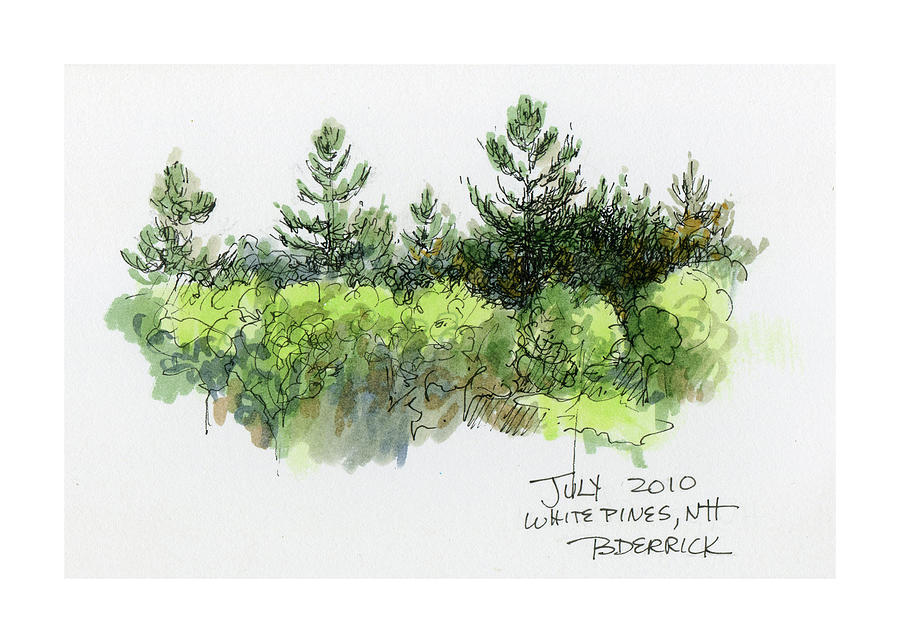 White Pines, NH Mixed Media by Betsy Derrick