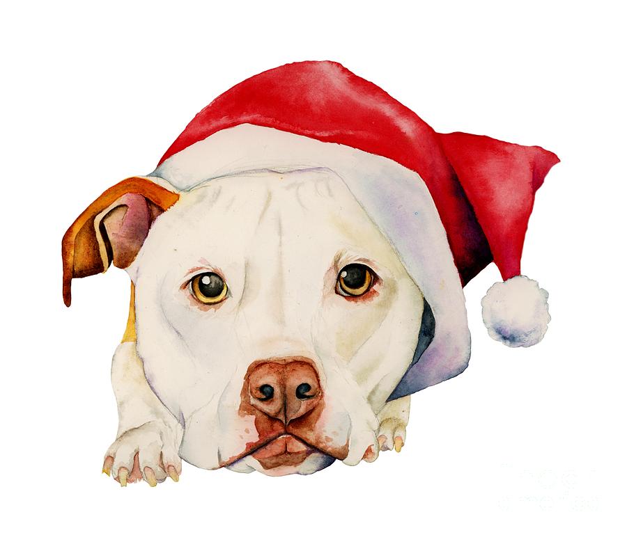 dog with santa hat