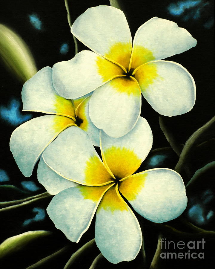 White Plumeria Painting by Jeff Maurer - Fine Art America