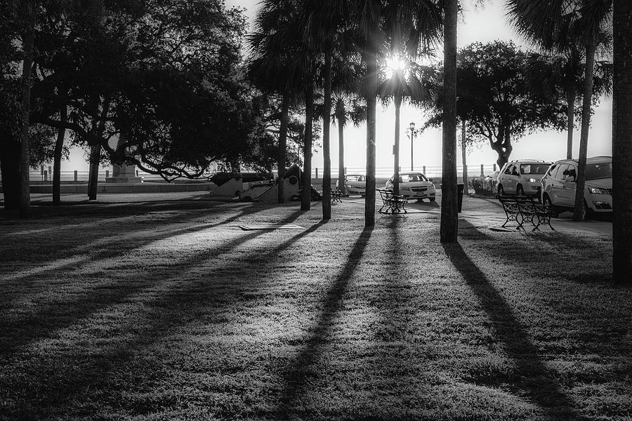 White Point Garden Morning Light Photograph by Donnie Whitaker