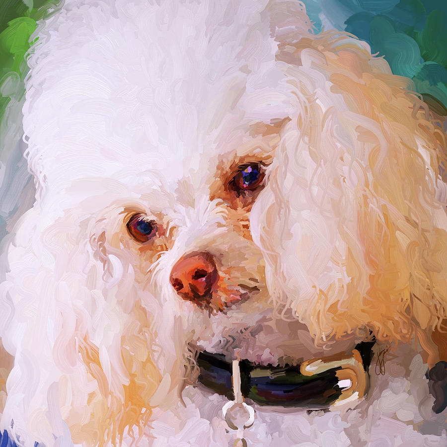 White Poodle - Square Painting by Jai Johnson
