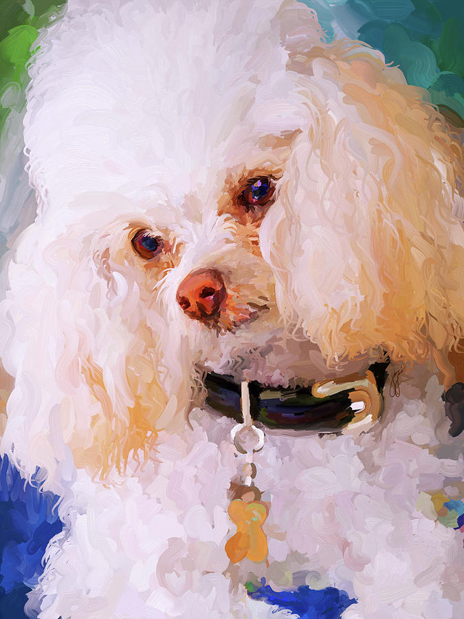 White Poodle Painting by Jai Johnson