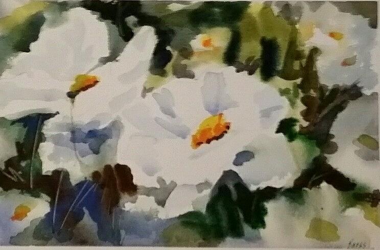 Prickly Poppy Painting - White Poppies by Patricia Kness