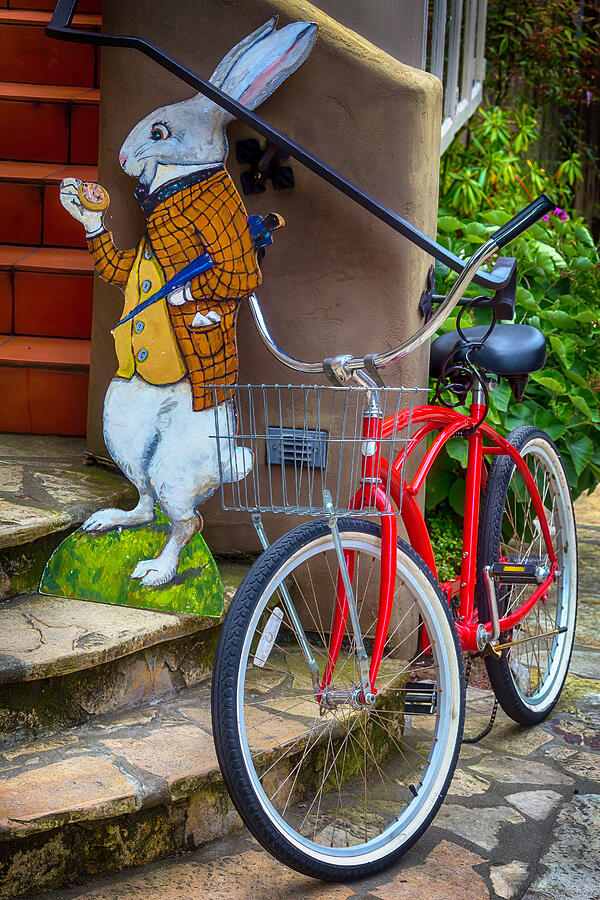 White Rabbit And Bike Photograph by Garry Gay