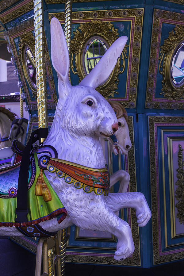 White Rabbit Carrousel Ride Photograph by Garry Gay