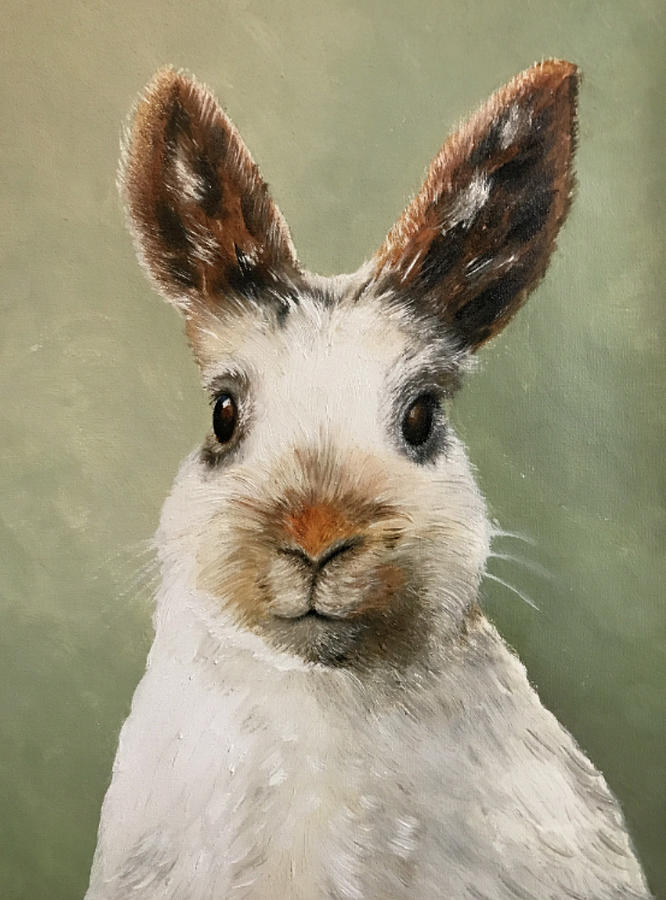 White Rabbit Painting by Elizabeth Schultz - Fine Art America