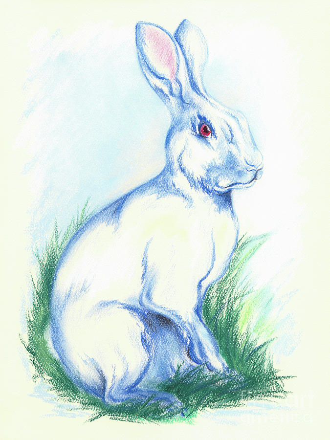 White Rabbit in the Grass Pastel by MM Anderson