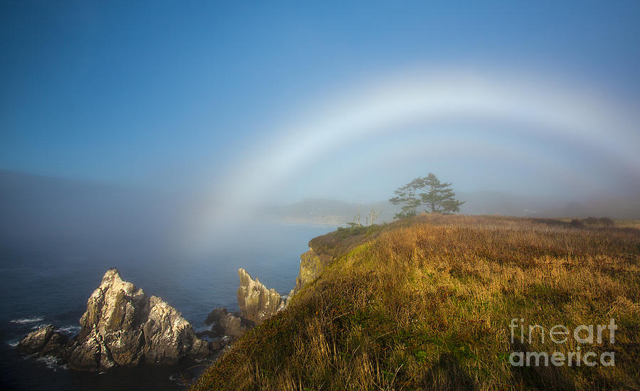 White Rainbow Over Ocean Bluff Photograph by Jerry Cowart