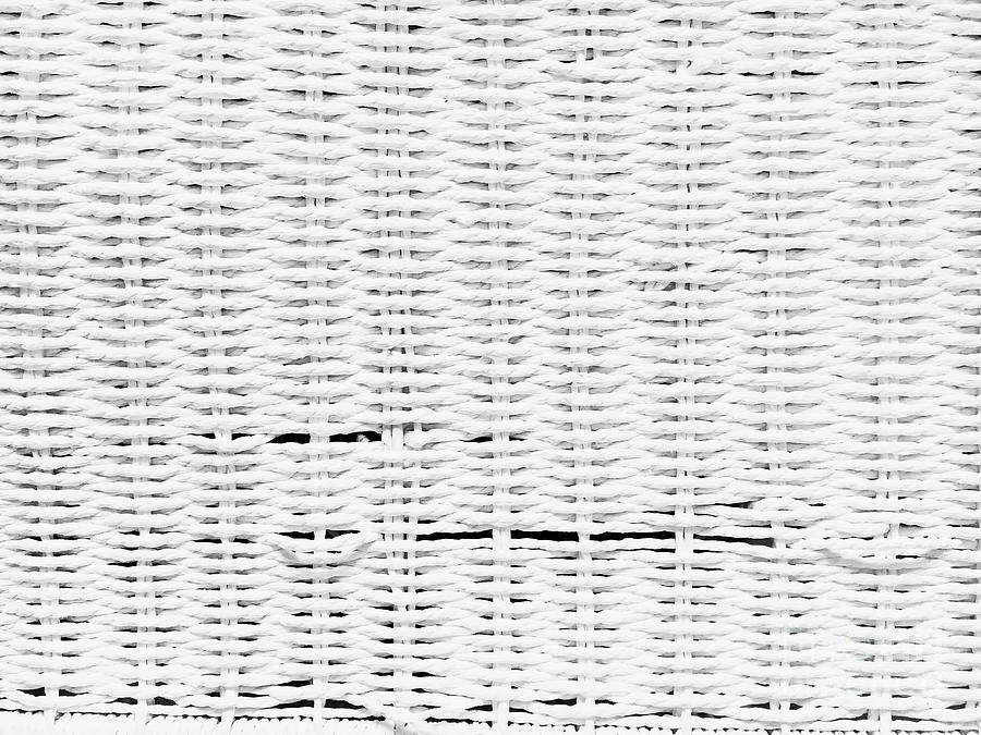 White ratten texture Photograph by Tom Gowanlock