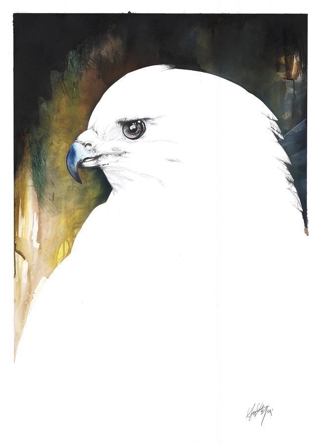 White Red-Tail Mixed Media by Anthony Burks Sr