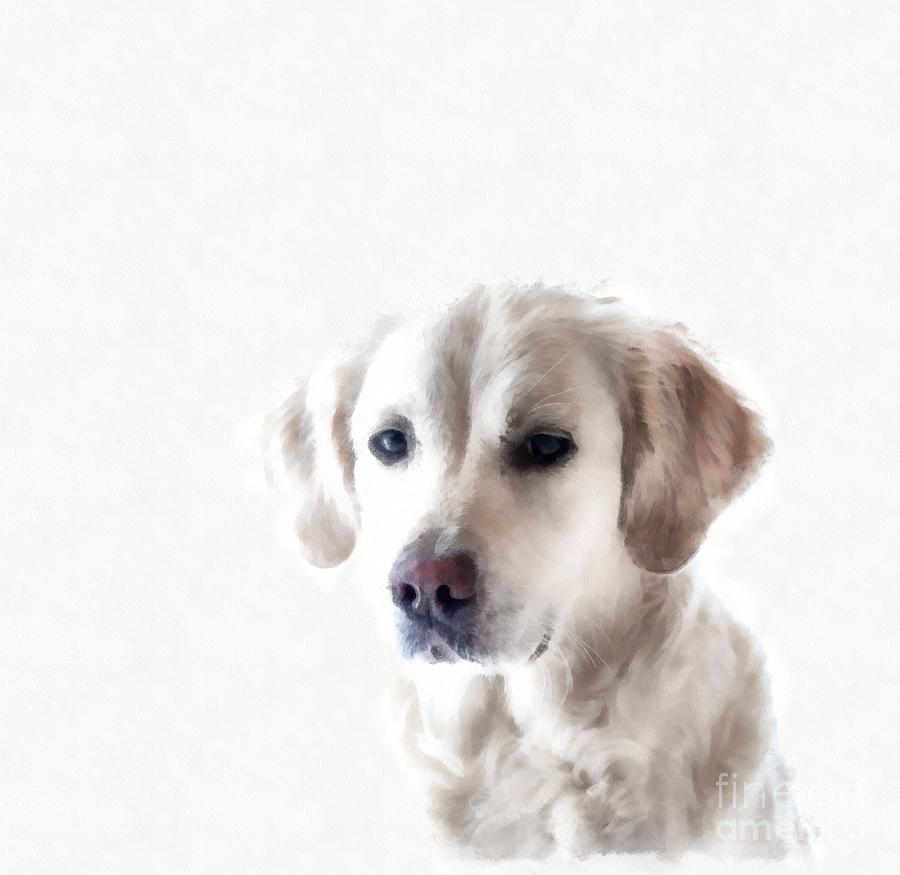 White Retriever Puppy Dog Painting  Digital Art by Edward Fielding