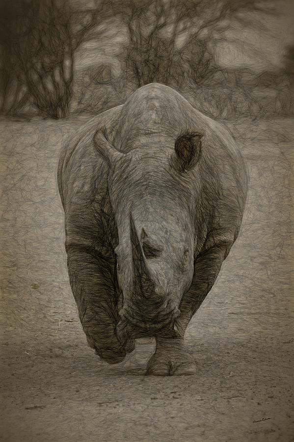 White Rhino 3a Digital Art by Ernest Echols