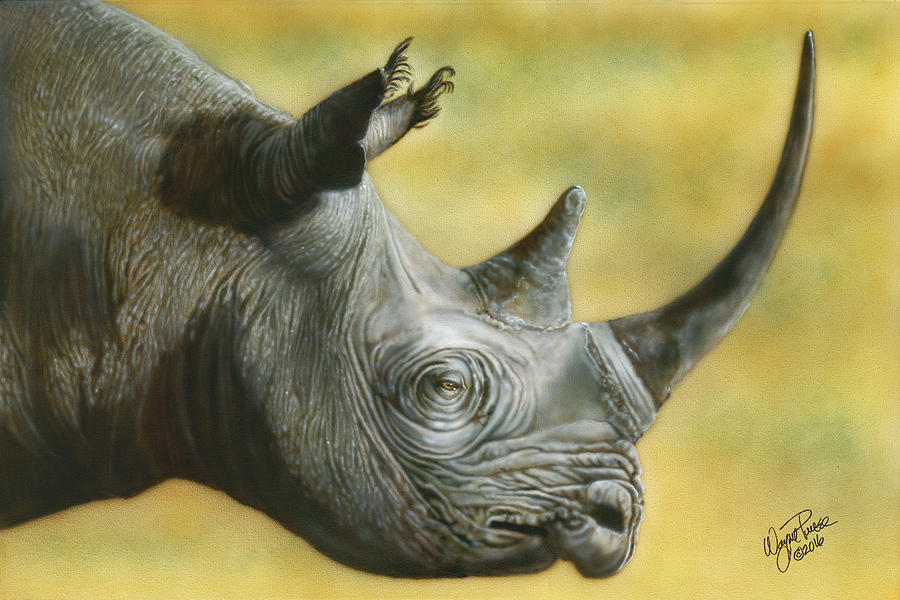 White Rhino Painting by Wayne Pruse