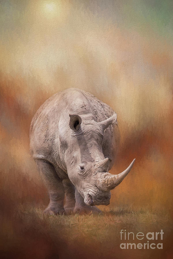 White Rhinoceros In Summer Sun Digital Art by Sharon McConnell