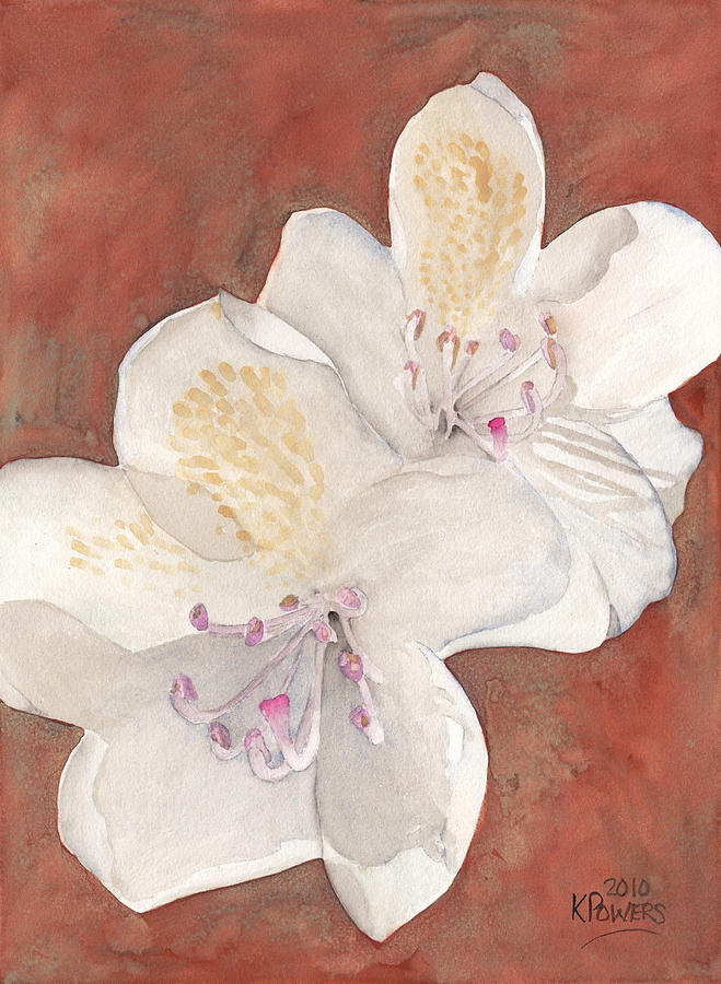 White Rhododendron Painting by Ken Powers