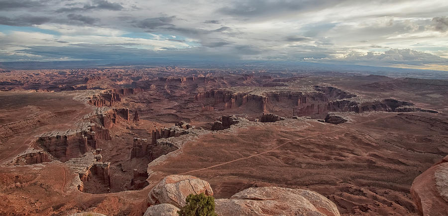 White Rim Overlook Photograph by Alan Vance Ley