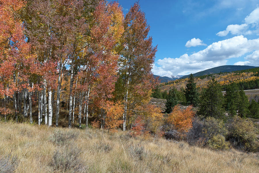 White River National Forest Autumn Landscape Photograph by Cascade Colors