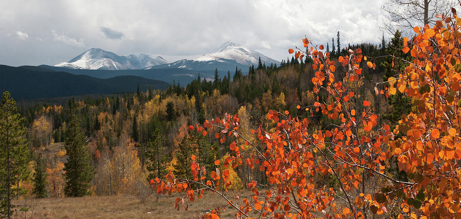 White River National Forest Autumn Panorama Photograph