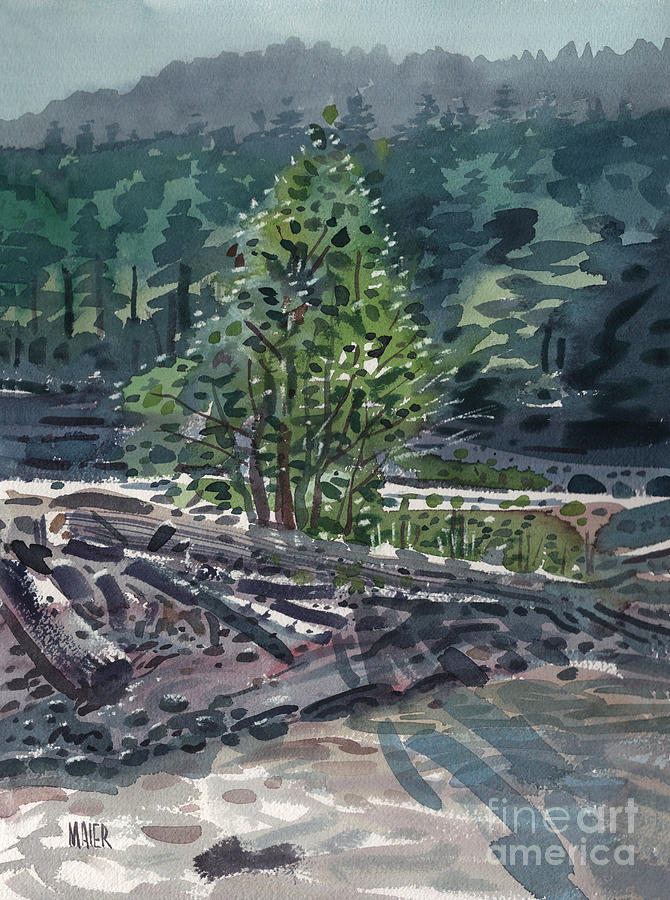 White River Painting - White River Sandbar by Donald Maier