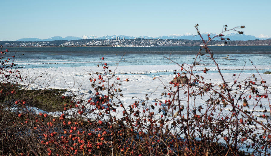 White Rock and White Shore Photograph by Tom Cochran