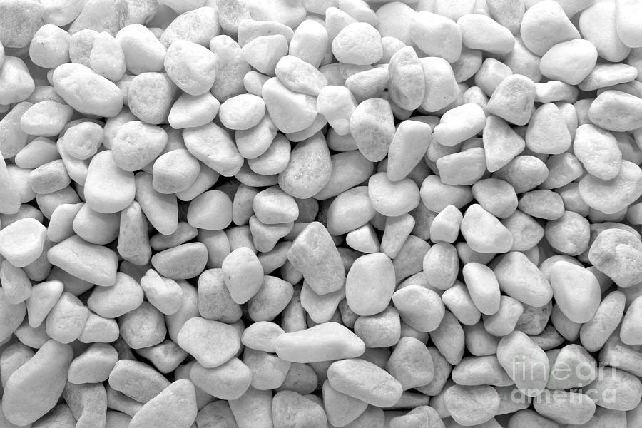 White Rock Pebbles Mineral Stones Background Photograph by Olivier Le Queinec