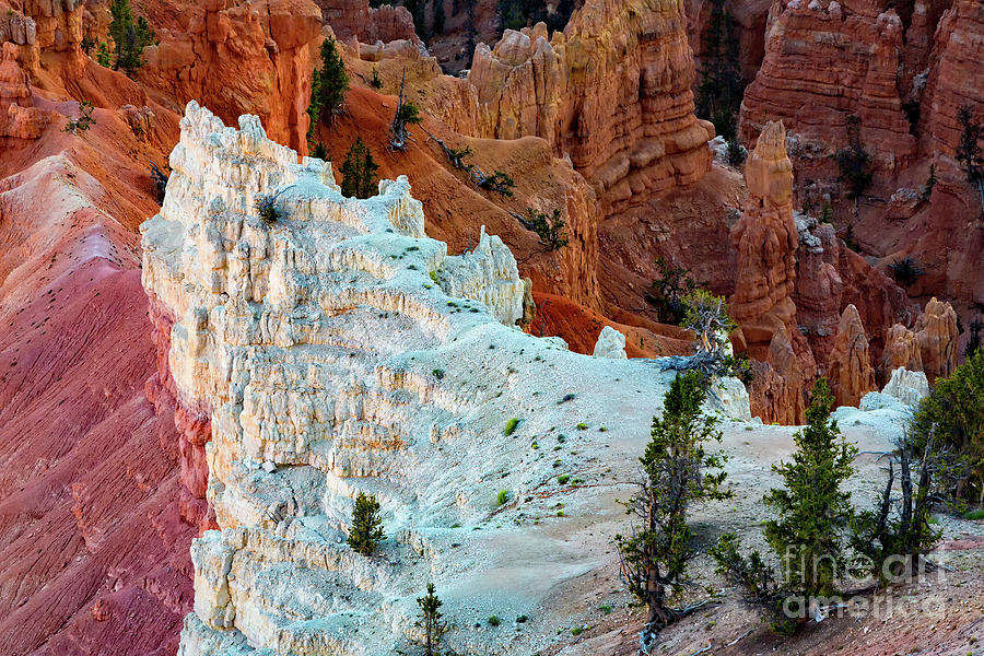 Landscape Photograph - White Rocks by Doug Sturgess
