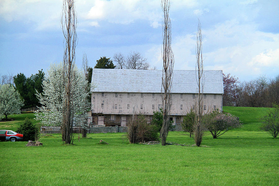 White roof barn Photograph by Emanuel Tanjala