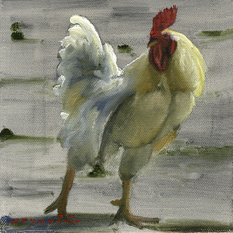 White Rooster Painting by John Reynolds