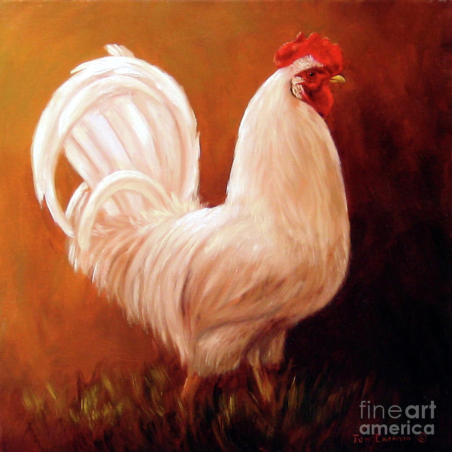 White Rooster Painting by Tom Chapman