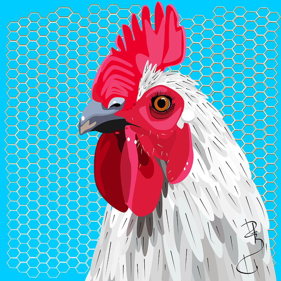 White rooster with blue background Digital Art by Debra Baldwin