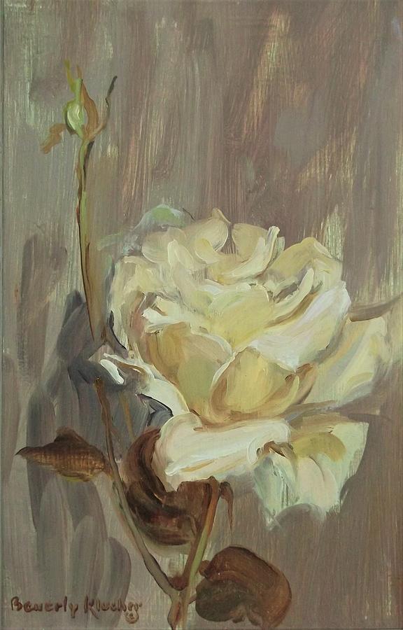 White Rose And Bud by Beverly Klucher White Rose And Bud by Beverly Klucher