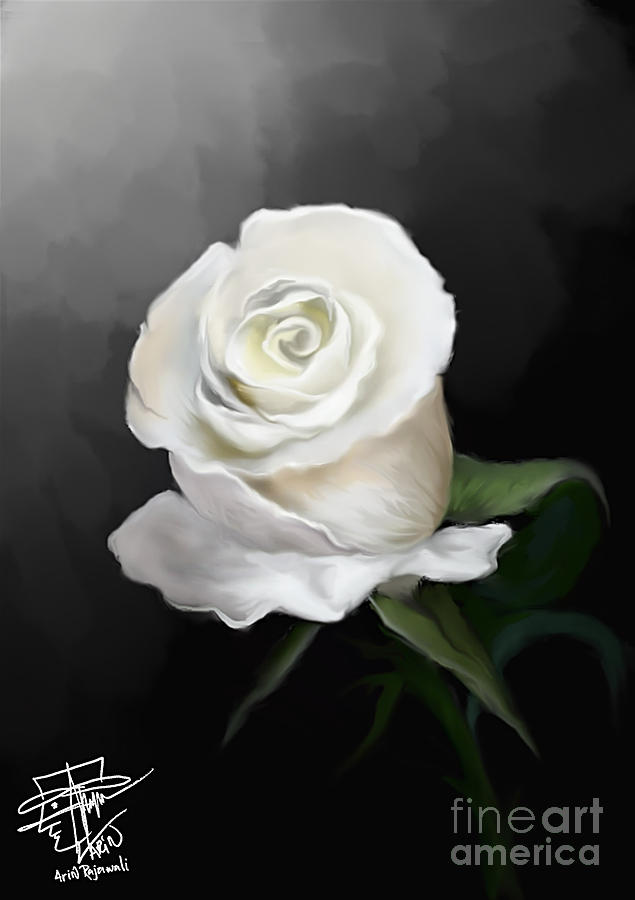 White Rose Digital Art by Arin Rajawali