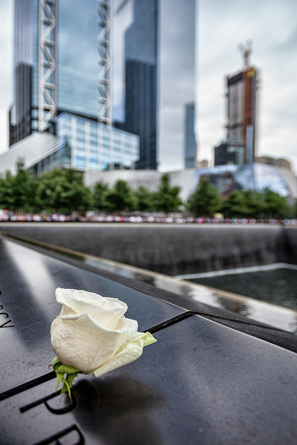 White Rose at World Trade Center Memorial NYC Photograph by Robert Ullmann