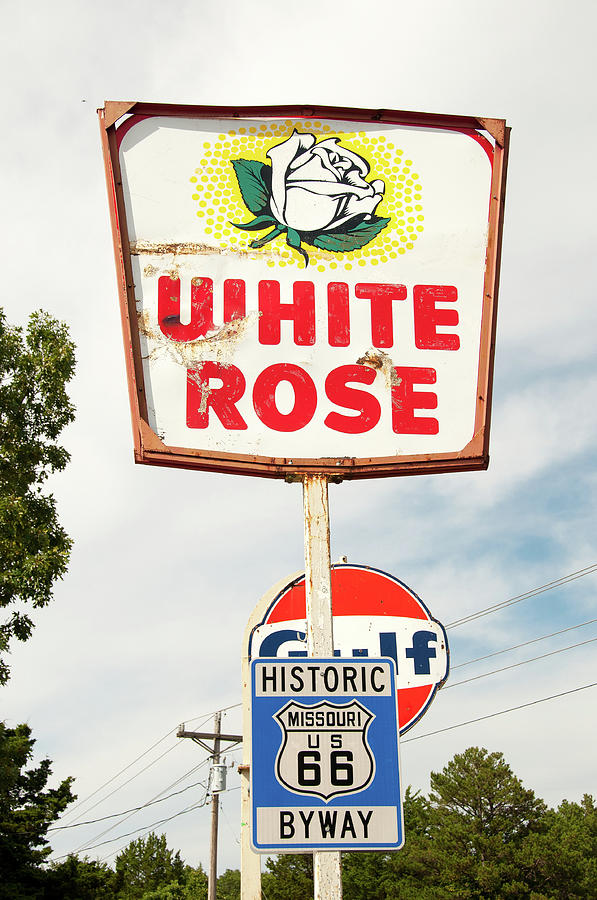 White Rose Gasoline Photograph by Steve Stuller