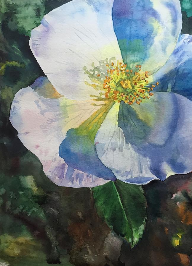 White Rose Painting By Jodi Hubbard - Fine Art America